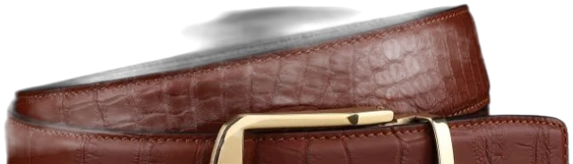 Brown leather belt