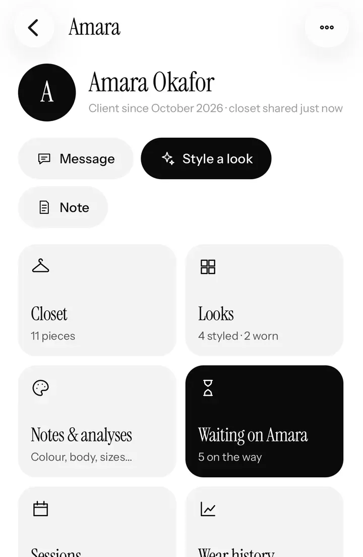 One client’s page: her closet, Closet analysis, looks and notes.